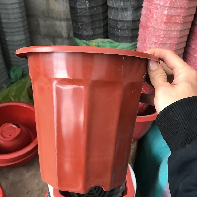 Chậu nhựa trồng cây E230 (19x15cm), Chậu E280 (23x20cm) - Chậu ươm